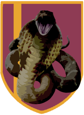 Δώσε πάσα Team Badge