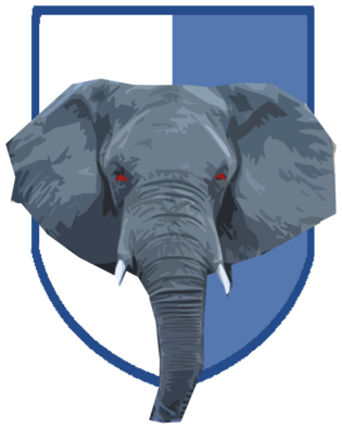 ΜΙΚΤΗ ΚΟΣΜΟΥ Team Badge